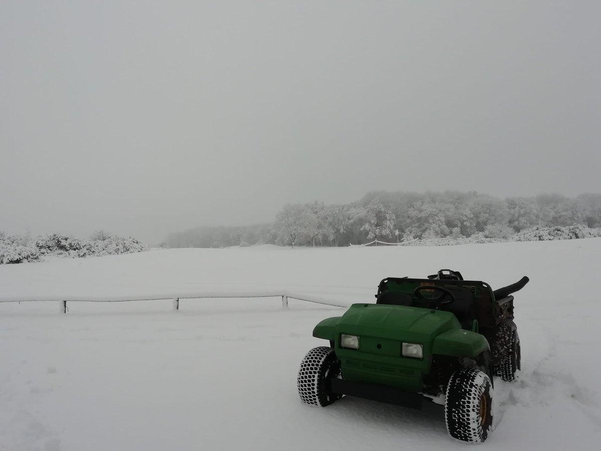 Survey Image
