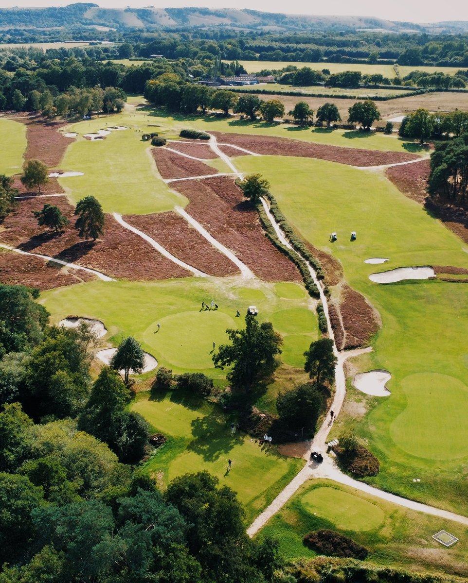 Survey Image